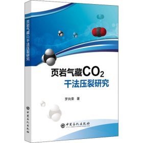 保證正版 頁巖氣藏CO2干法壓裂研究 羅向榮 9787511450852 中國石化出版社