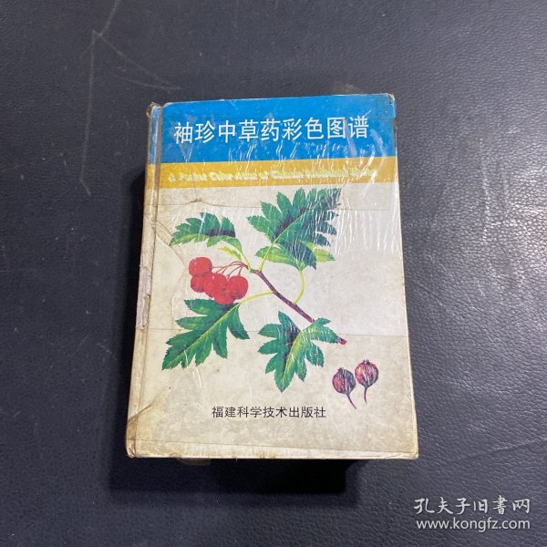 袖珍中草药彩色图谱