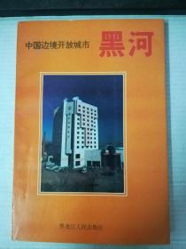 中国边境开放城市黑河。