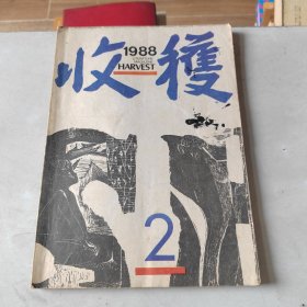 收获1988 2