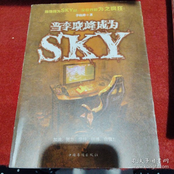 当李晓峰成为SKY