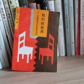 他们的世界：中国男同性恋群落透视