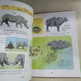拉鲁斯趣味科学馆（5册合售）