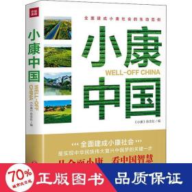 小康中国（汇聚有价值的经验，总结中国智慧的有效路径）