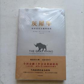 灰犀牛：如何应对大概率危机