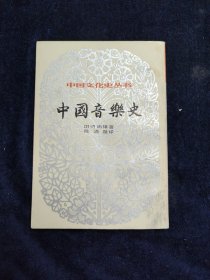 中国文化史丛书 中国音乐史