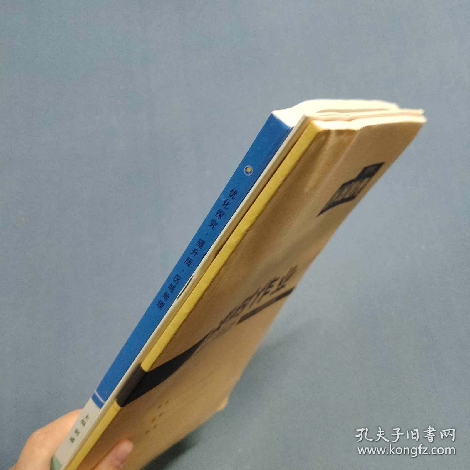 优化探究 : 区域地理（提升版）