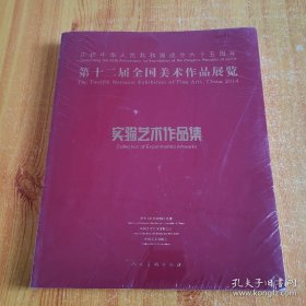第十二届全国美术作品展览实验艺术作品集