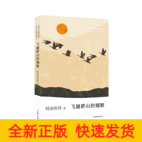飞越群山的翅膀