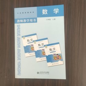 数学教师教学用书. 六年级. 上册（附资源平台激活卡）