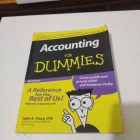 Accounting For Dummies 傻瓜书-会计学