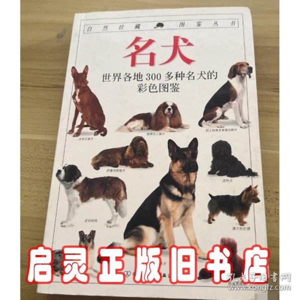 名犬：全世界300多种名犬的彩色图鉴