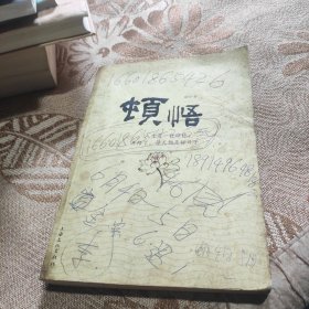 顿悟(实物拍摄)