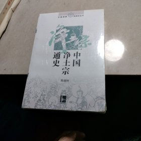 中国净土宗通史（未开封）