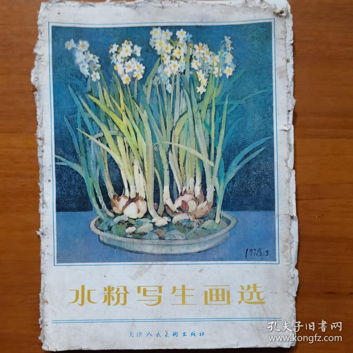 水粉写生画选（内有水粉画12张）