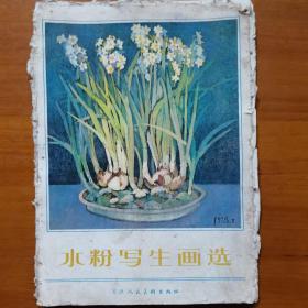 水粉写生画选（内有水粉画12张）