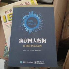 物联网大数据处理技术与实践