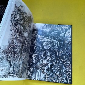 中国近现代名家画集：黄秋园（精装8开）一版一印 带函套