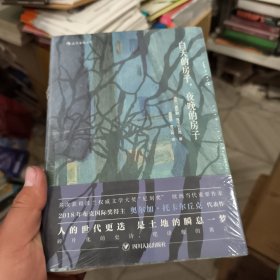 白天的房子，夜晚的房子：讲述一座边境小城千年故事的碎片化小说