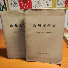 欧洲文学史上下册