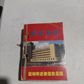 明星荟萃～盐城市企业信息台历 (1995年)