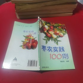 枣农实践100例