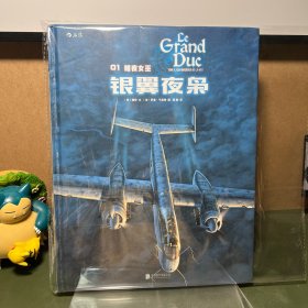 银翼夜枭01：暗夜女巫（一版一印）