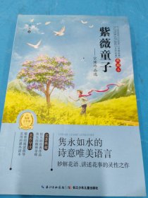 中国经典文学名著·典藏本：紫薇童子——宗璞作品选