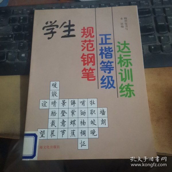 学生规范钢笔正楷等级达标训练