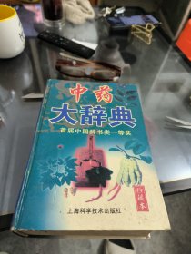 中药大辞典