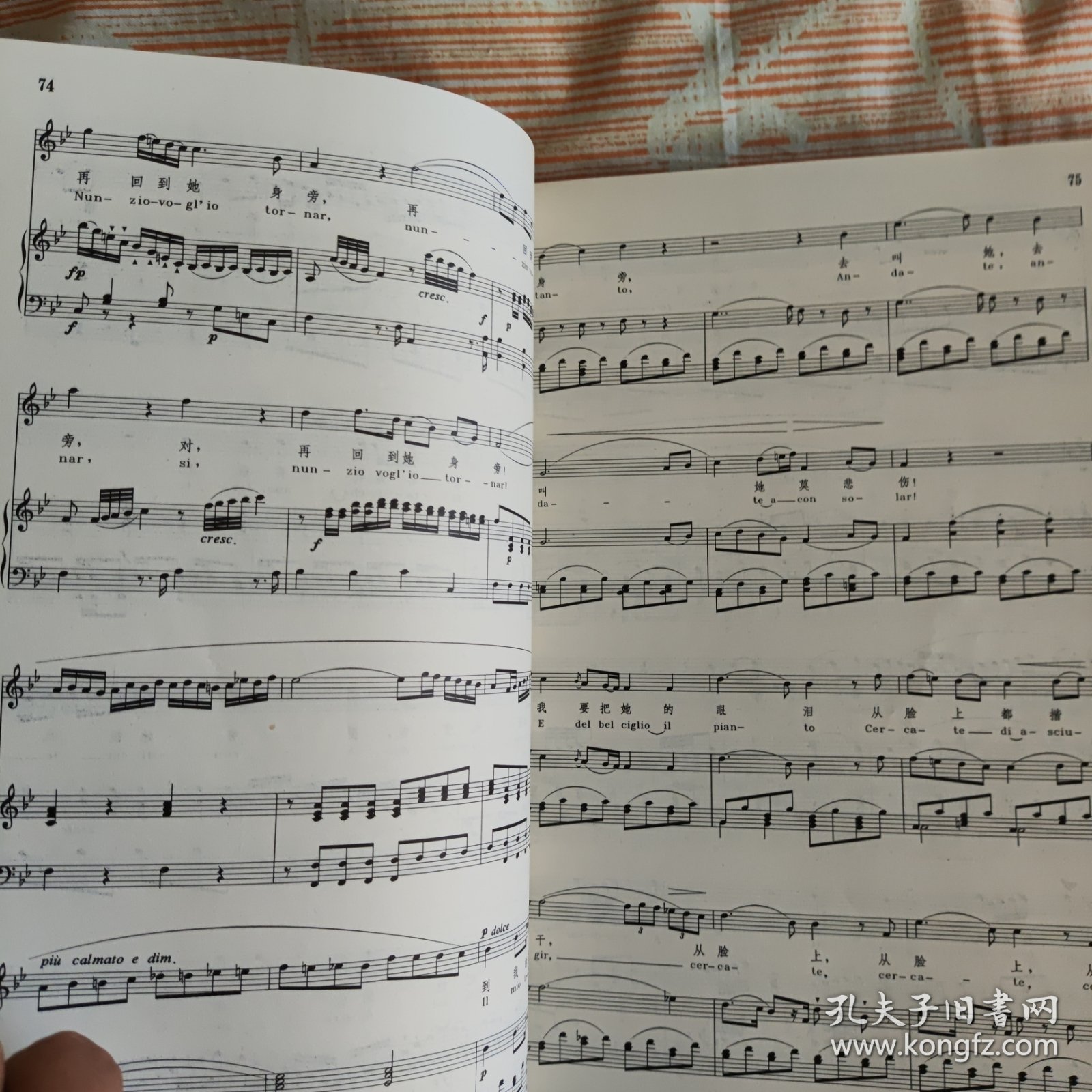 点击查看原图 外国歌剧曲选(上下)
