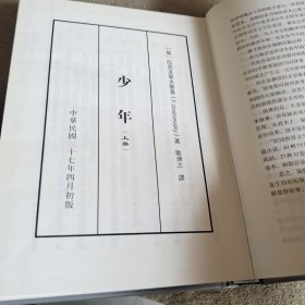 长篇小说<<少年>>上册