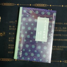 文学共同体书系：天上没有铁丝网