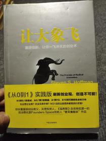 让大象飞:激进创新，让你一飞冲天的创业术