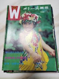 世界知识画报 1989全年共12期合售