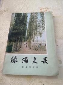 《绿满夏县》