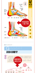 全人体刮痧图解彩绘版 9787539077208