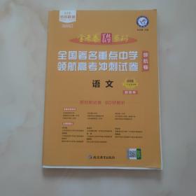 领航卷著名重点中学领航高考冲刺试卷语文新高考2021学年适用--天星教育