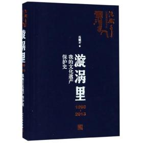 漩涡里：1990-2013我的文化遗产保护史（）