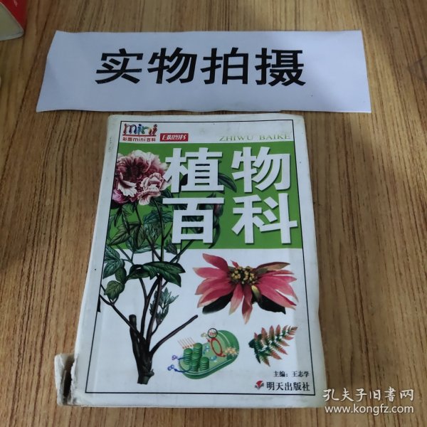 植物百科