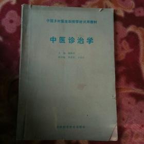 中医诊治学