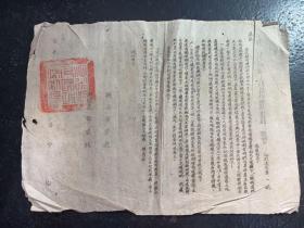 1950年7月山西省沁水县人民政府通令沁政法字第一号禁山令