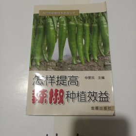 怎样提高辣椒种植效益