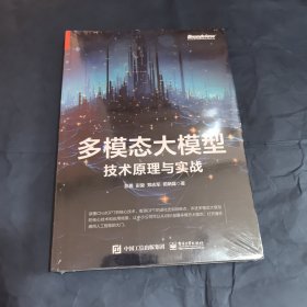 多模态大模型 技术原理与实战