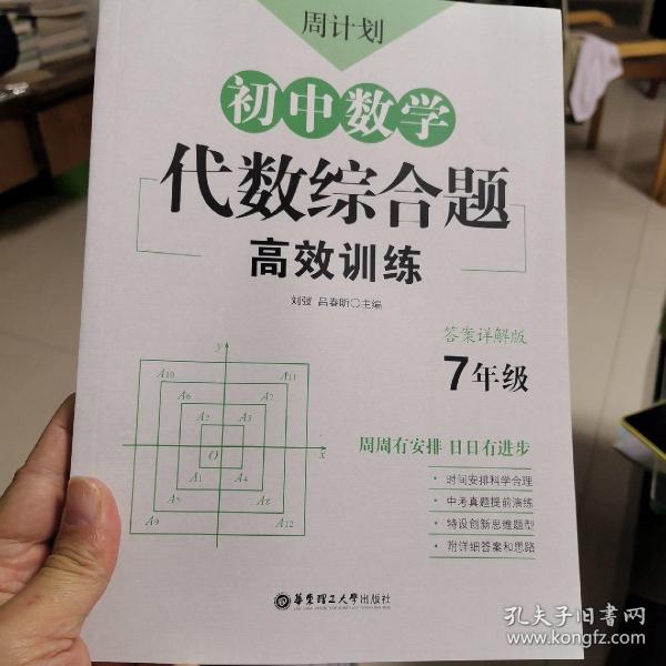 周计划：初中数学代数综合题高效训练（7年级）