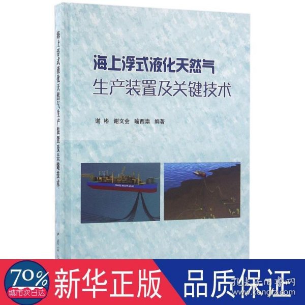 海上浮式液化天然气生产装置及关键技术