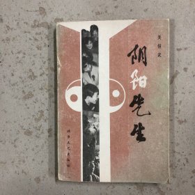 阴阳先生