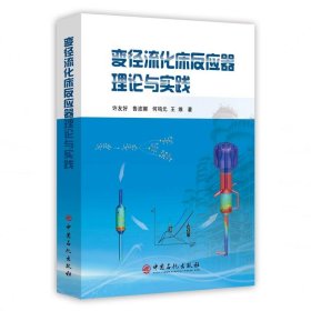 变径流化床反应器理论与实践