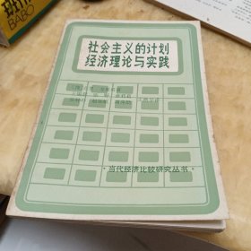 社会主义的计划经济理论与实践