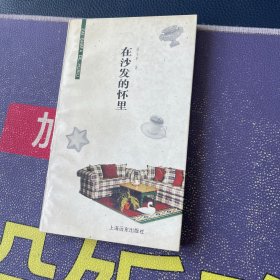 在沙发的怀里